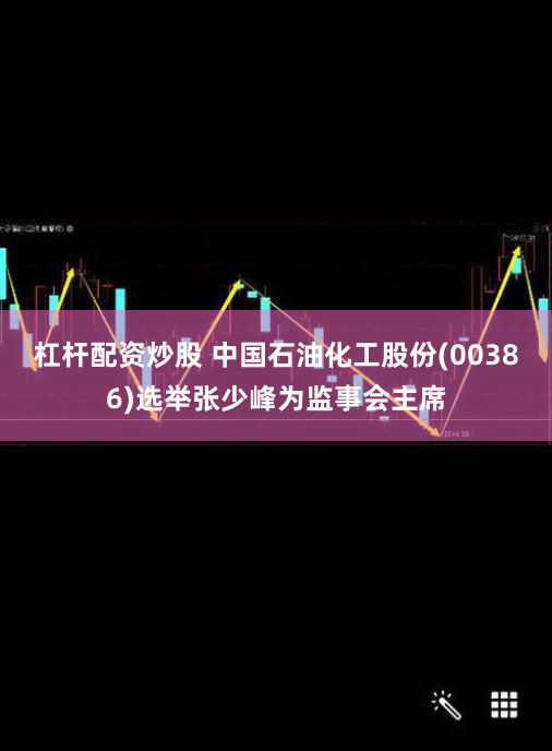 杠杆配资炒股 中国石油化工股份(00386)选举张少峰为监事会主席
