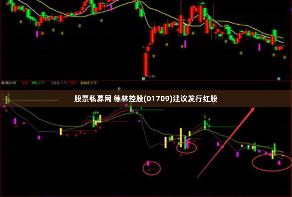股票私募网 德林控股(01709)建议发行红股