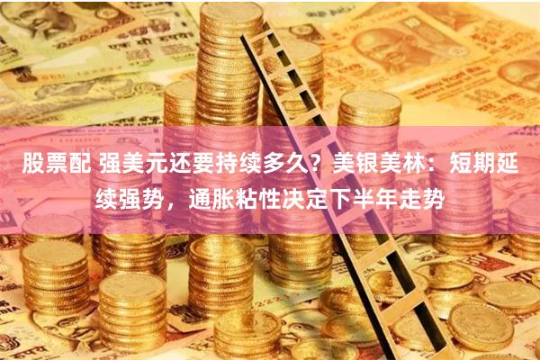 股票配 强美元还要持续多久？美银美林：短期延续强势，通胀粘性决定下半年走势